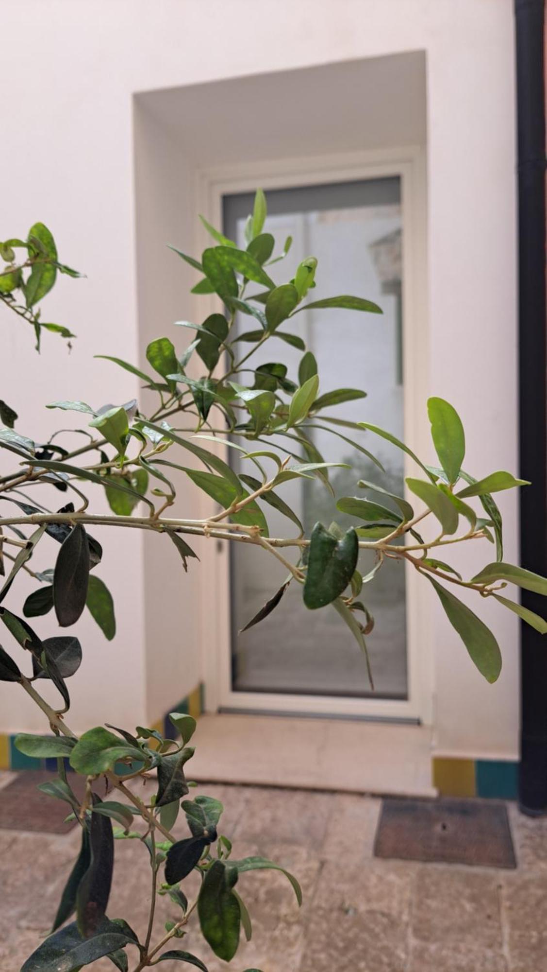 אלקאמו B&B Garibaldi מראה חיצוני תמונה